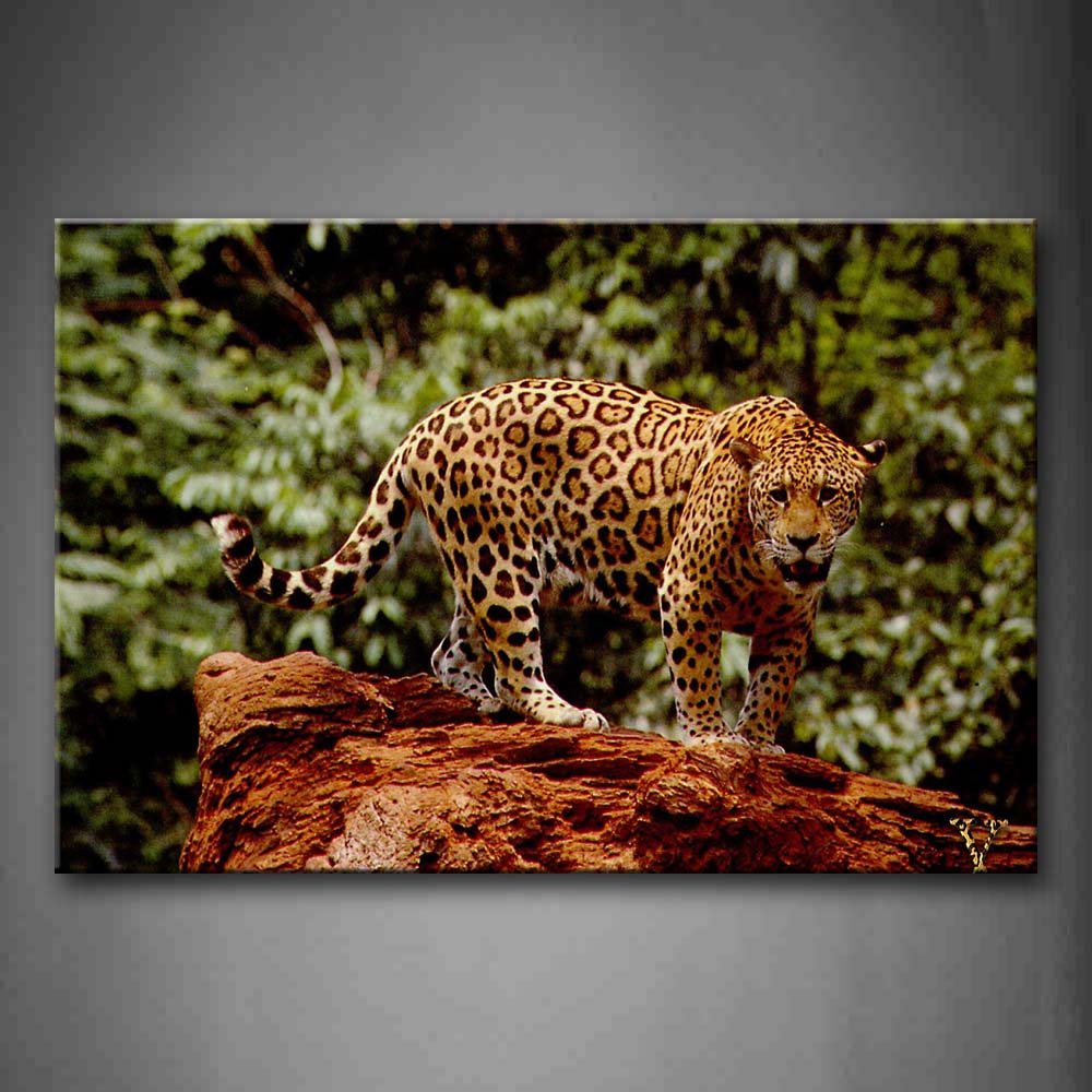 Jaguar Stand On Yellow Rock Near Thick Tree Wall Art Painting The Picture Print On Canvas Animal Pictures For Home Decor Decoration Gift 