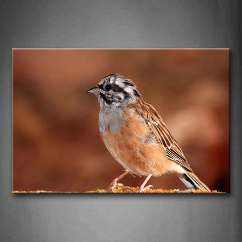 Yellow And Gray Bird Stand Portrait Wall Art Painting Pictures Print On Canvas Animal The Picture For Home Modern Decoration 