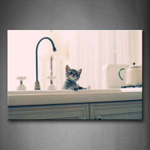 Cat In Kitchen  Wall Art Painting Pictures Print On Canvas Animal The Picture For Home Modern Decoration 