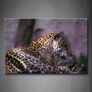 Jaguar Lie On Land Near Rocks Wall Art Painting Pictures Print On Canvas Animal The Picture For Home Modern Decoration 