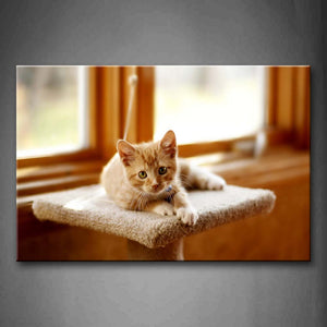 Yellow Cat Lie On Blanket Near Window Wall Art Painting Pictures Print On Canvas Animal The Picture For Home Modern Decoration 