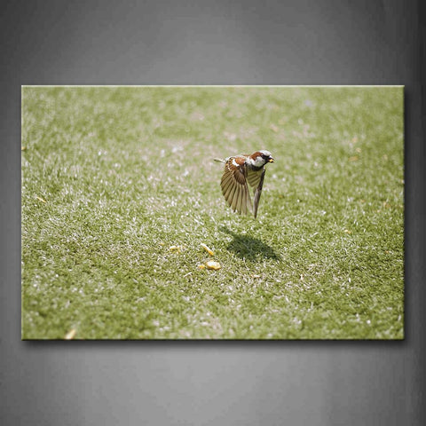 Bird Fly Over Lawn Food Wall Art Painting The Picture Print On Canvas Animal Pictures For Home Decor Decoration Gift 
