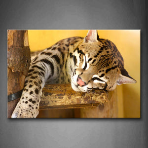 Yellow Orange Ocelot Bend Over On Wood Sleep Wall Art Painting Pictures Print On Canvas Animal The Picture For Home Modern Decoration 