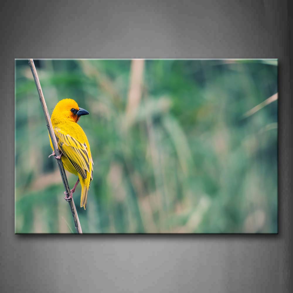 Yellow Bird Climb On Branch Wall Art Painting The Picture Print On Canvas Animal Pictures For Home Decor Decoration Gift 