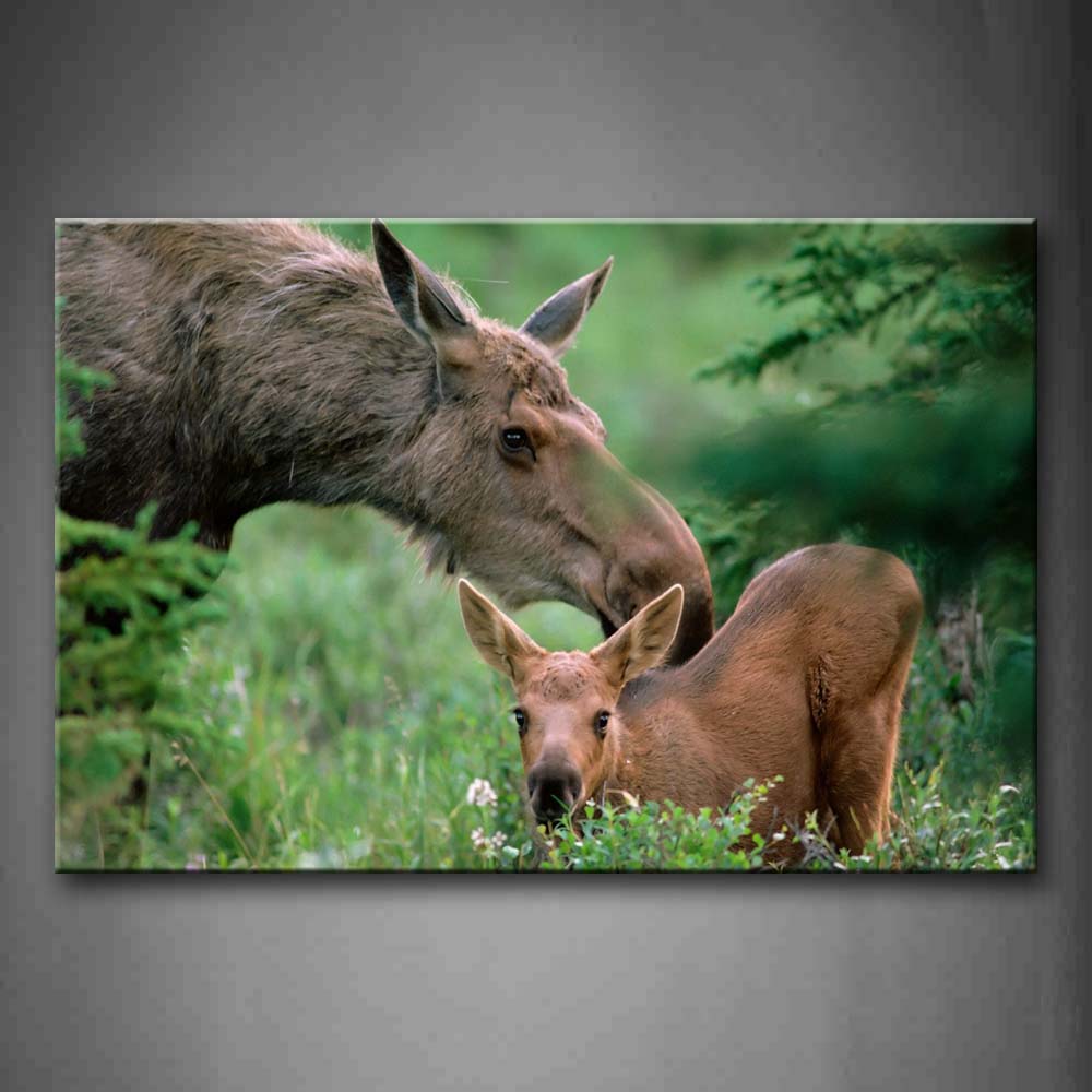 Mother Moose And Cub In Thick Grass Tree Wall Art Painting Pictures Print On Canvas Animal The Picture For Home Modern Decoration 