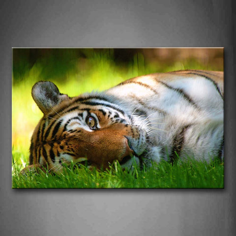 Tiger Lie On Green Grass Wall Art Painting The Picture Print On Canvas Animal Pictures For Home Decor Decoration Gift 