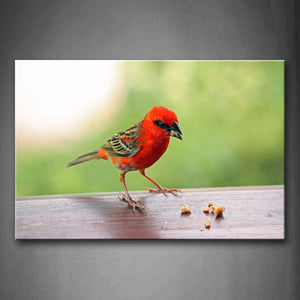 Orange Bird Stand On Desk And Look At Food Wall Art Painting Pictures Print On Canvas Animal The Picture For Home Modern Decoration 