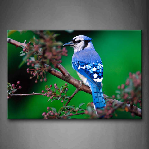 Blue Bird Stop On Branch  Wall Art Painting The Picture Print On Canvas Animal Pictures For Home Decor Decoration Gift 