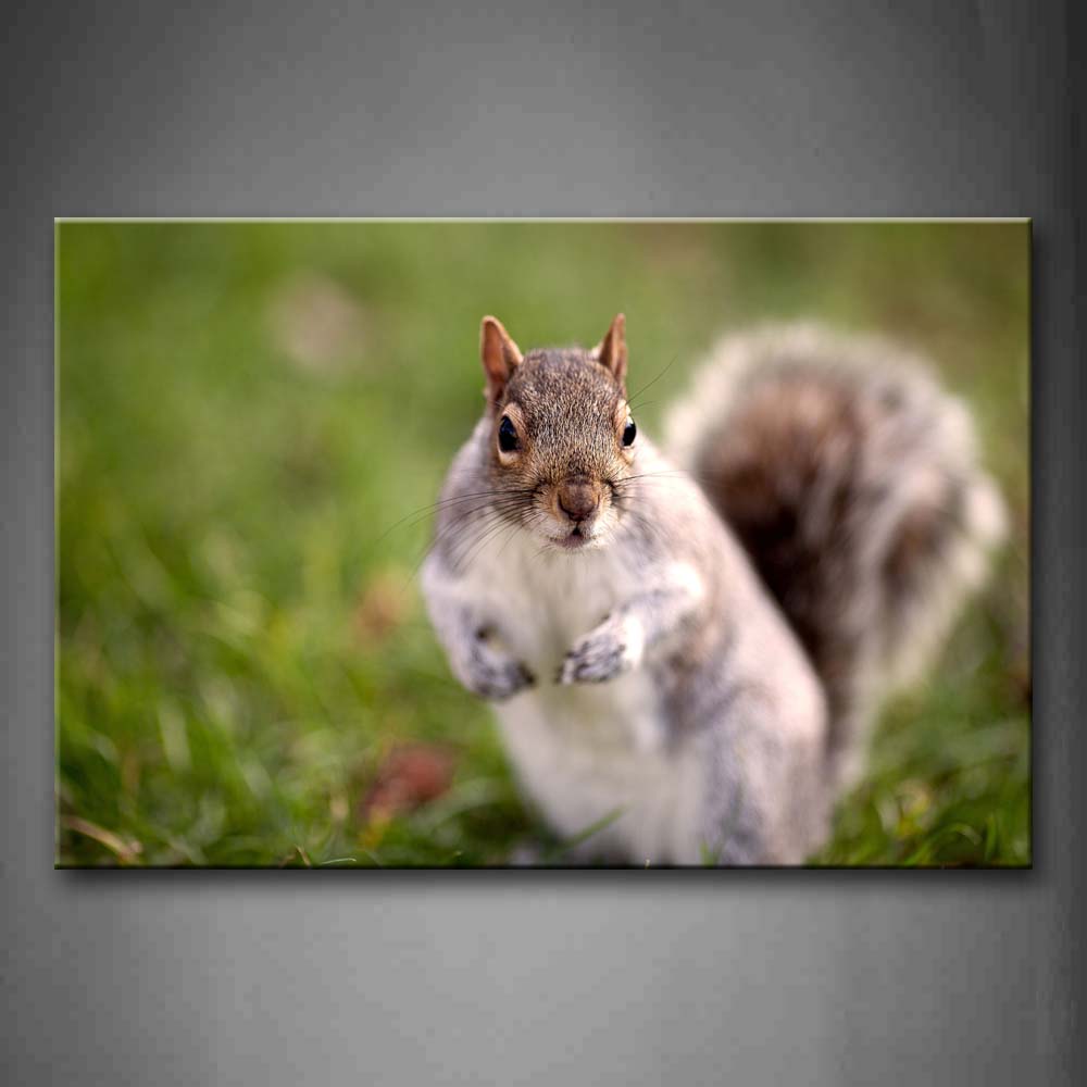 Squirrel Stand On Grassland Wall Art Painting The Picture Print On Canvas Animal Pictures For Home Decor Decoration Gift 