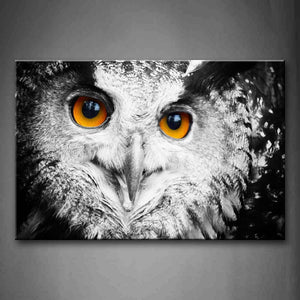 Owl Head Portrait Wall Art Painting Pictures Print On Canvas Animal The Picture For Home Modern Decoration 