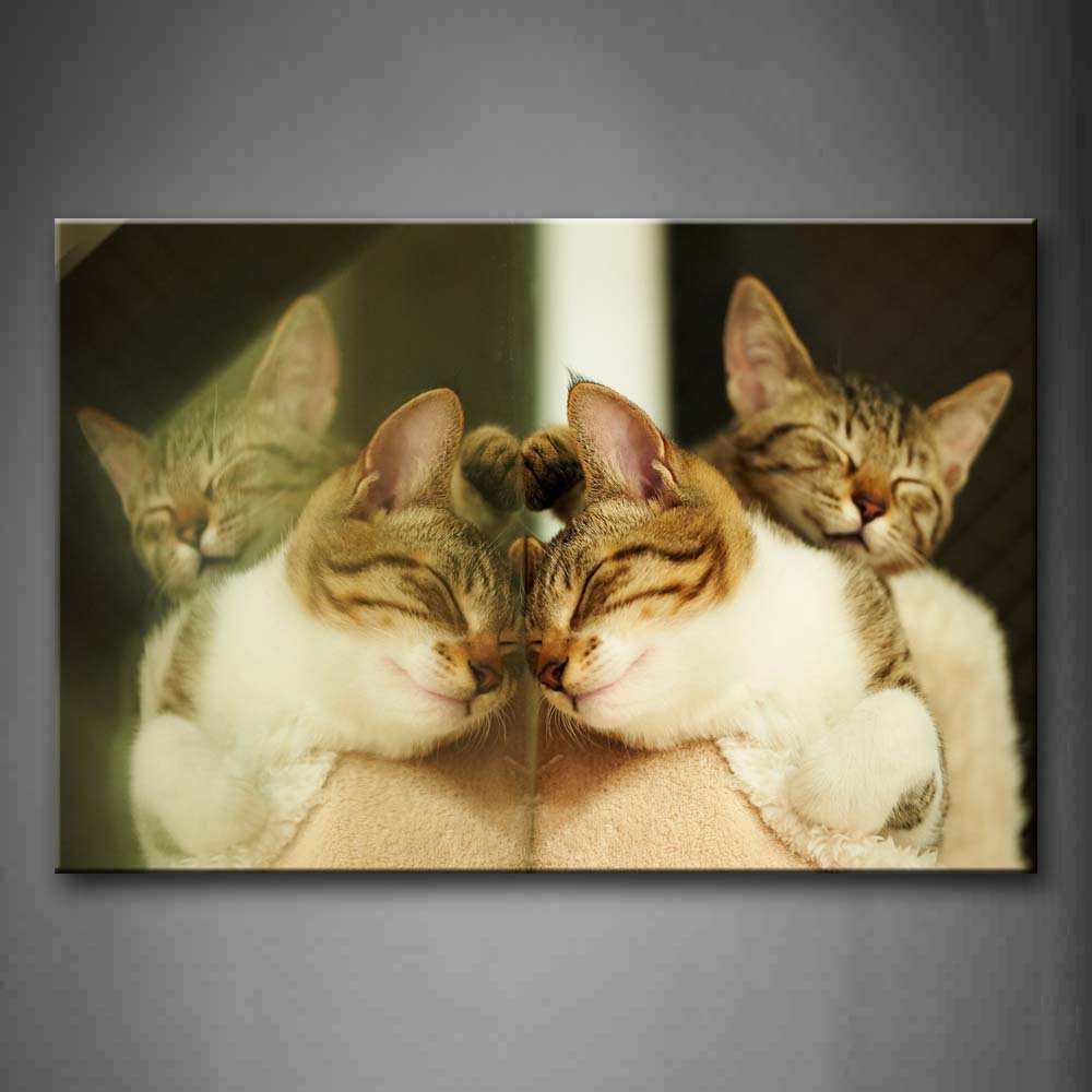 Two Cats In Blanket Mirror Symmetrical Wall Art Painting Pictures Print On Canvas Animal The Picture For Home Modern Decoration 