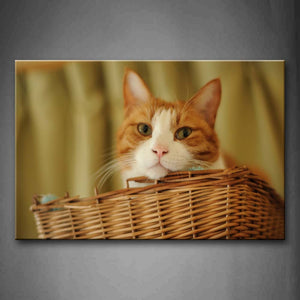 Yellow Cat In Basket  Wall Art Painting Pictures Print On Canvas Animal The Picture For Home Modern Decoration 