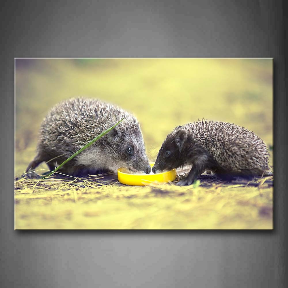 Two Hedgehogs Eat Food On Dry Grassland Wall Art Painting Pictures Print On Canvas Animal The Picture For Home Modern Decoration 