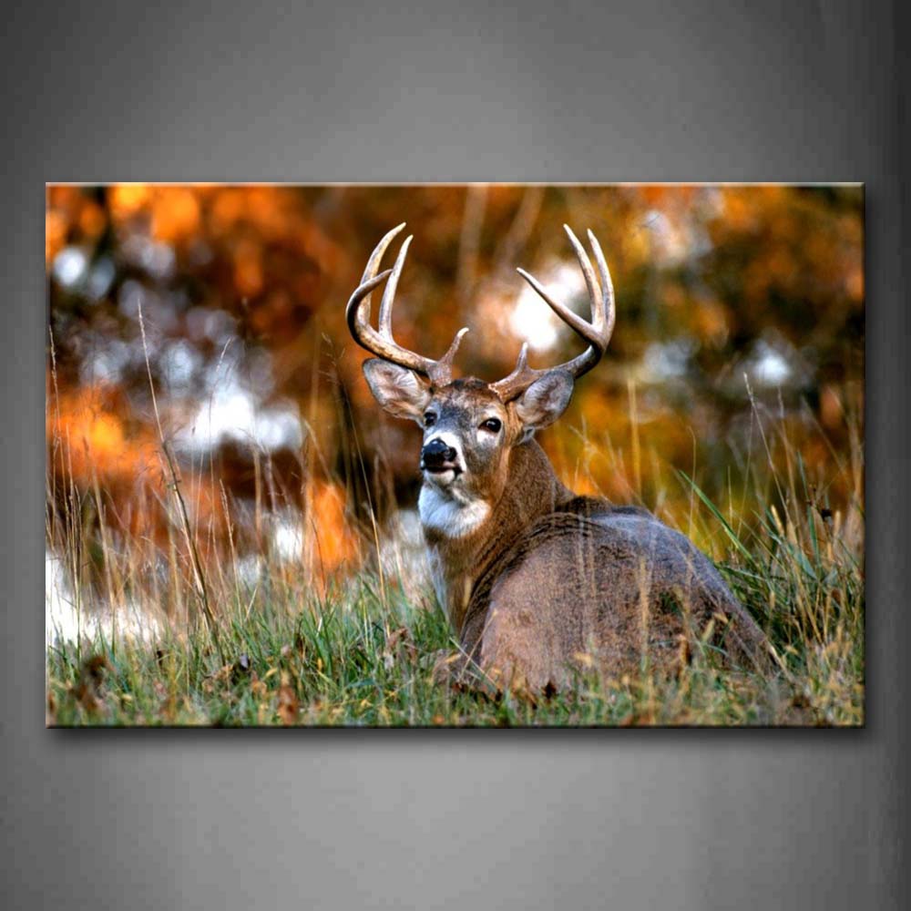 Deer Sit In Thick Grass Look Back Wall Art Painting The Picture Print On Canvas Animal Pictures For Home Decor Decoration Gift 