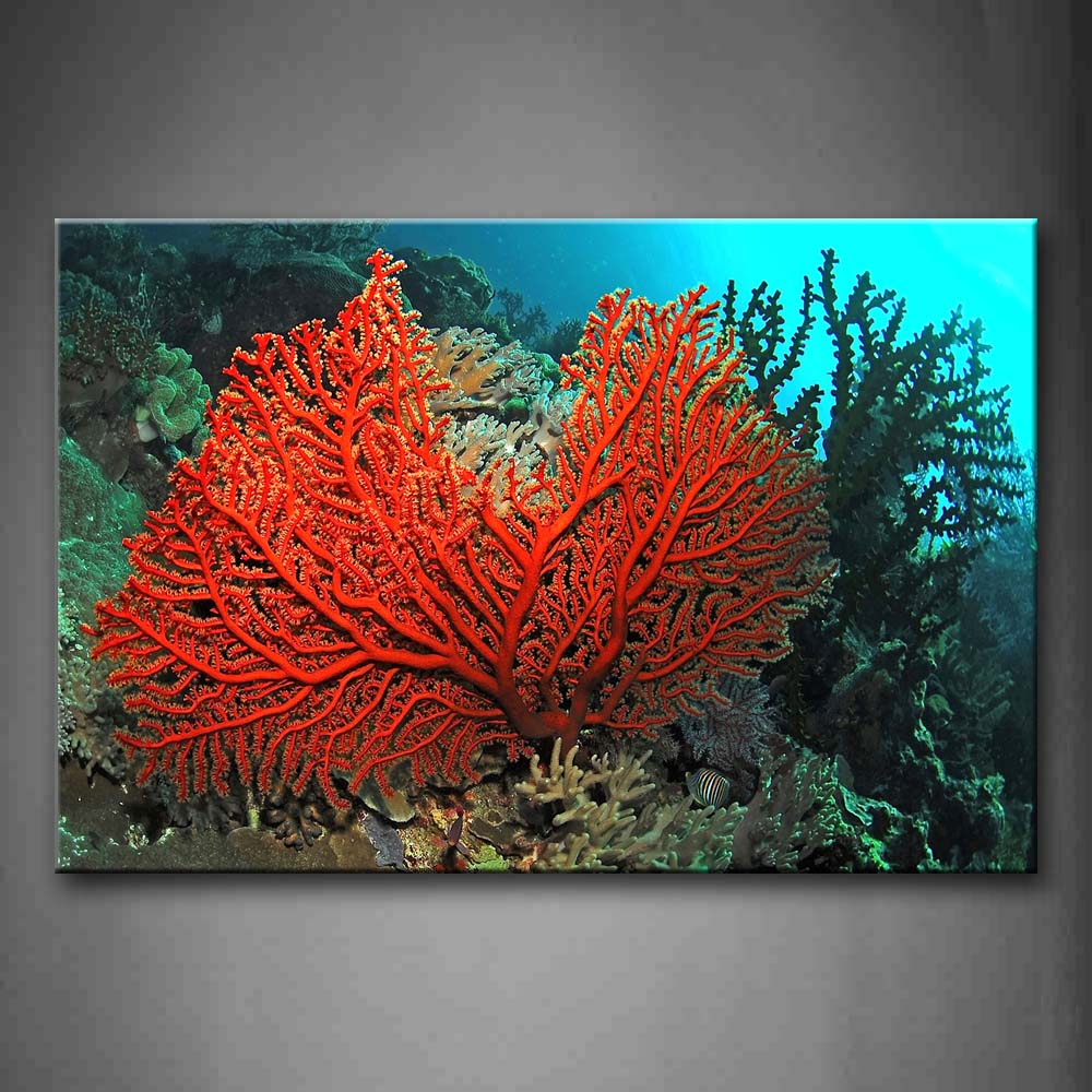 Bottom Of Sea Scenery Coral Red Wall Art Painting The Picture Print On Canvas Animal Pictures For Home Decor Decoration Gift 