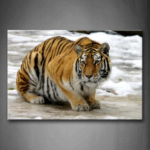 Tiger Crawl On Ice Land Wall Art Painting Pictures Print On Canvas Animal The Picture For Home Modern Decoration 