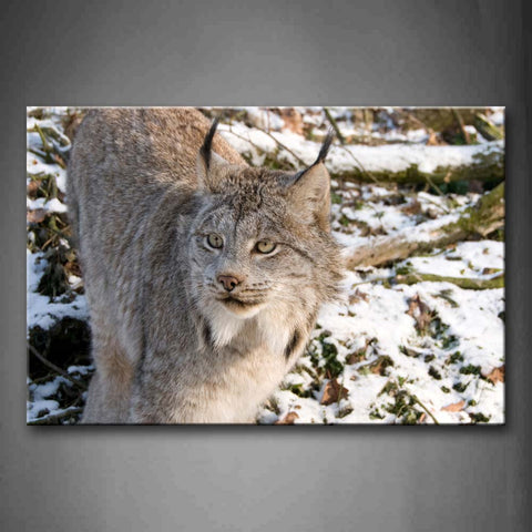 Lynx Stand In Forest Snow Winter Wall Art Painting The Picture Print On Canvas Animal Pictures For Home Decor Decoration Gift 