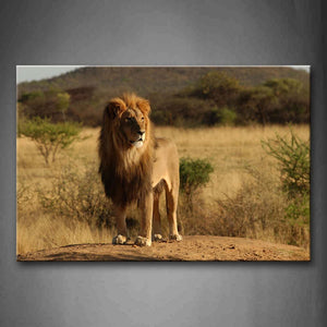 Lion Stand On Mud Land Dry Grassland Trees Wall Art Painting Pictures Print On Canvas Animal The Picture For Home Modern Decoration 