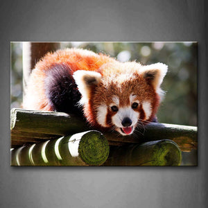 Red Panda Lie On Wood Look Down Wall Art Painting The Picture Print On Canvas Animal Pictures For Home Decor Decoration Gift 