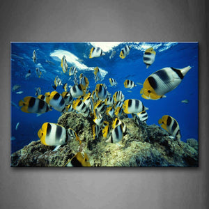 Beautiful Fishes Near Sea Surface Rock Wall Art Painting Pictures Print On Canvas Animal The Picture For Home Modern Decoration 