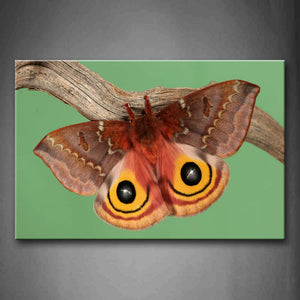 Pink Yellow Moth Stop On Dry Branch Wall Art Painting The Picture Print On Canvas Animal Pictures For Home Decor Decoration Gift 