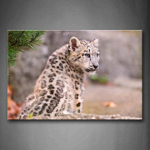 Snow Leopard Sit On Land Leaf Wall Art Painting Pictures Print On Canvas Animal The Picture For Home Modern Decoration 