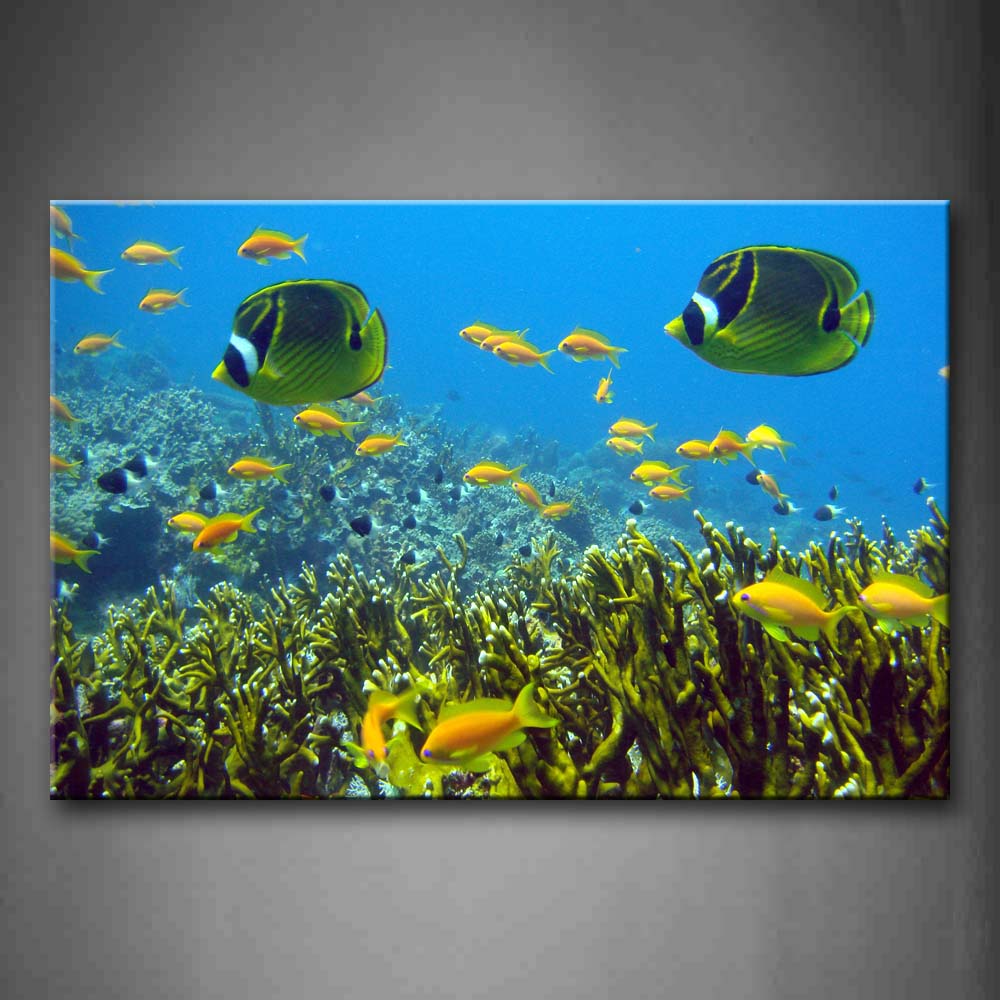 Bottom Of Sea Yellow And Green Fishes Wall Art Painting The Picture Print On Canvas Animal Pictures For Home Decor Decoration Gift 