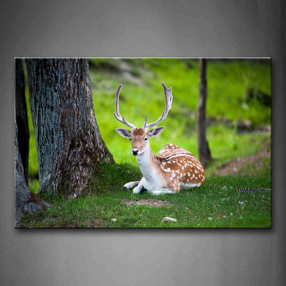 Deer Sit Under Tree On Lawn Wall Art Painting Pictures Print On Canvas Animal The Picture For Home Modern Decoration 