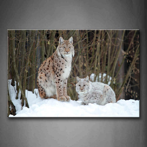 Two Lynxs Sit On Snowfield Tree Winter Wall Art Painting Pictures Print On Canvas Animal The Picture For Home Modern Decoration 