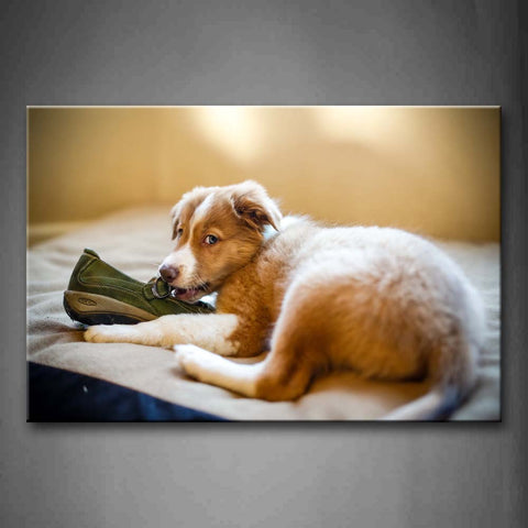 Yellow Dog Lie On Blanket And Bite A Shoe Wall Art Painting Pictures Print On Canvas Animal The Picture For Home Modern Decoration 