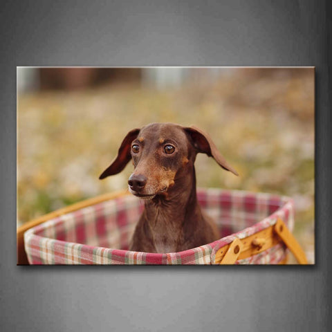 Brown Dog Sit In Cloth Basket Wall Art Painting The Picture Print On Canvas Animal Pictures For Home Decor Decoration Gift 