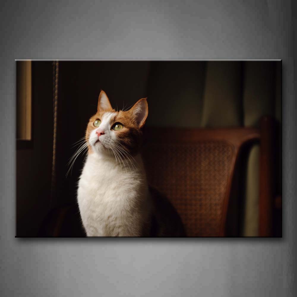 Cat Sit Chair Inside Room Look Up Wall Art Painting Pictures Print On Canvas Animal The Picture For Home Modern Decoration 