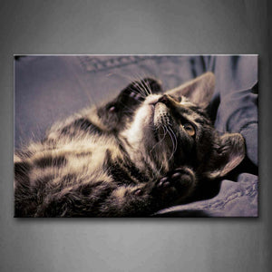 Cat Lie On Blue Pants Wall Art Painting Pictures Print On Canvas Animal The Picture For Home Modern Decoration 