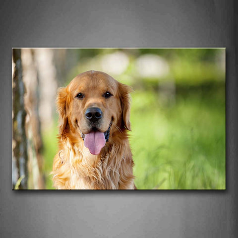 Golden Retriever Sit On Grass Portrait Wall Art Painting Pictures Print On Canvas Animal The Picture For Home Modern Decoration 