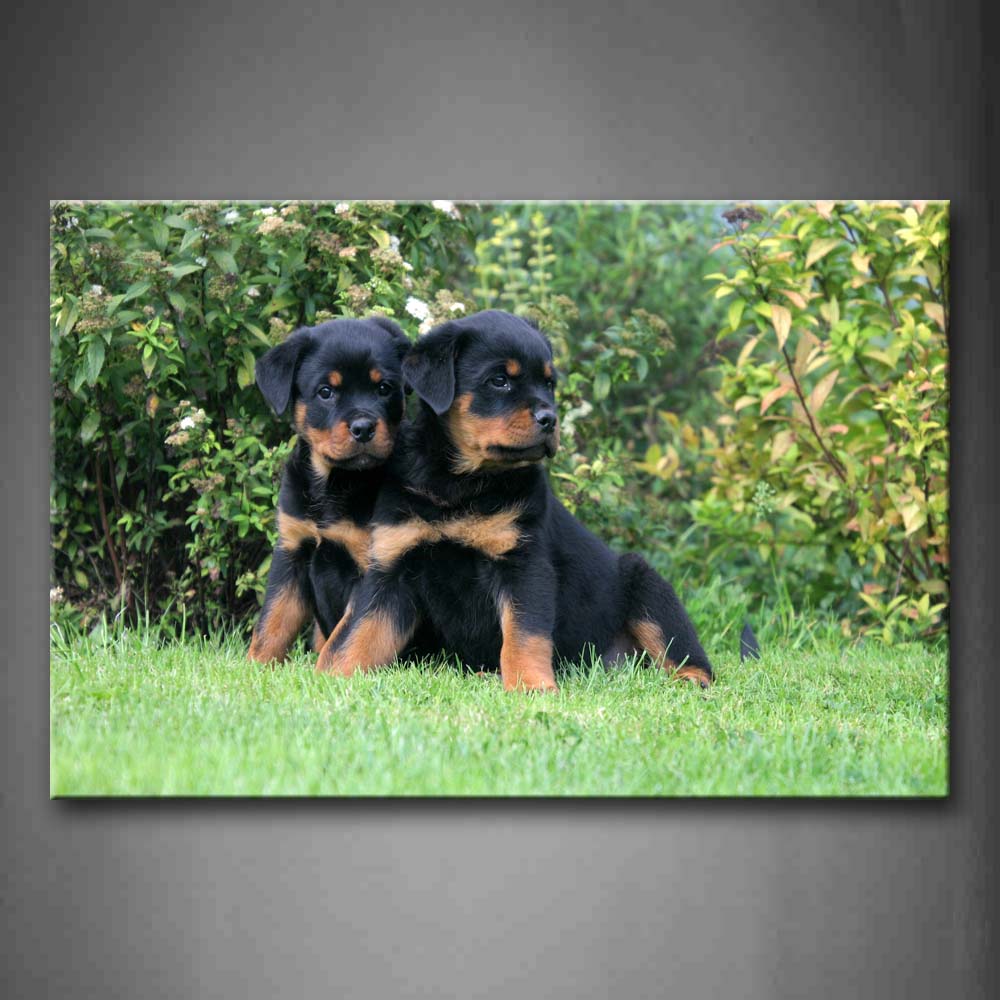 Two Rottweilers Sit On Grassland Tree Wall Art Painting The Picture Print On Canvas Animal Pictures For Home Decor Decoration Gift 