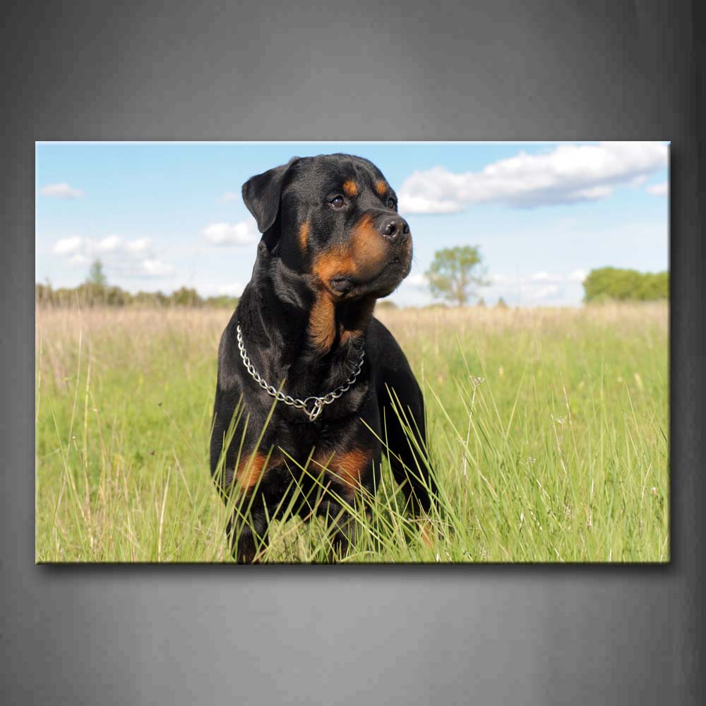 Rottweiler Stand In Grass Tree Cloud Wall Art Painting Pictures Print On Canvas Animal The Picture For Home Modern Decoration 