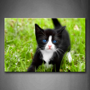 Black And White Cat Play In Grass Wall Art Painting The Picture Print On Canvas Animal Pictures For Home Decor Decoration Gift 