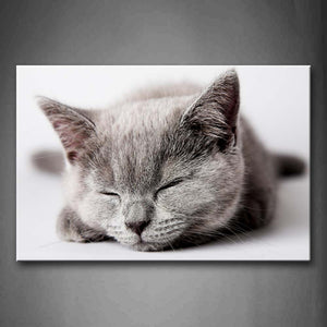 Gray Cat Bend Over On White Land Wall Art Painting Pictures Print On Canvas Animal The Picture For Home Modern Decoration 