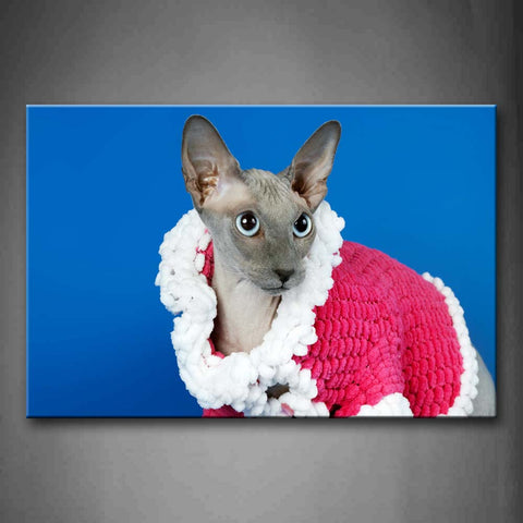 Gray Cat Wear Cloth In Blue Background Wall Art Painting The Picture Print On Canvas Animal Pictures For Home Decor Decoration Gift 