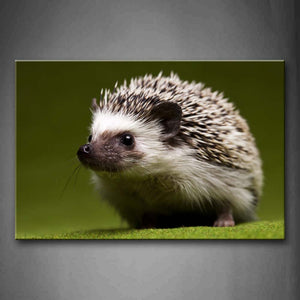 Hedgehog Stand On Green Land Wall Art Painting Pictures Print On Canvas Animal The Picture For Home Modern Decoration 