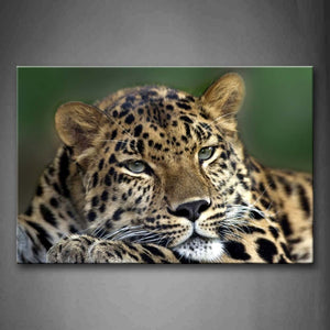 Leopard Bend Over Portrait Wall Art Painting Pictures Print On Canvas Animal The Picture For Home Modern Decoration 