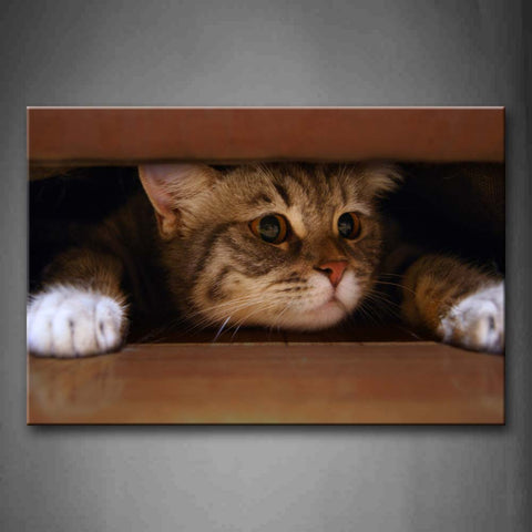 Cute Cat Hide In Pallet Wall Art Painting The Picture Print On Canvas Animal Pictures For Home Decor Decoration Gift 