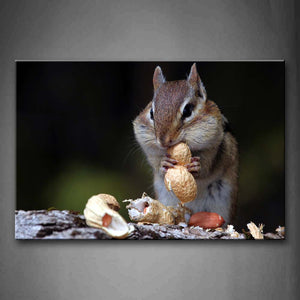 Chipmunk Sit And Eat Peanut Wall Art Painting Pictures Print On Canvas Animal The Picture For Home Modern Decoration 