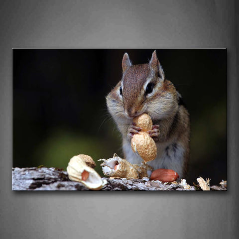 Chipmunk Sit And Eat Peanut Wall Art Painting Pictures Print On Canvas Animal The Picture For Home Modern Decoration 