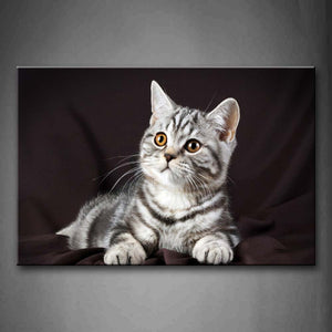 Black And White Cat Lie On Dark Gray Cloth Wall Art Painting Pictures Print On Canvas Animal The Picture For Home Modern Decoration 