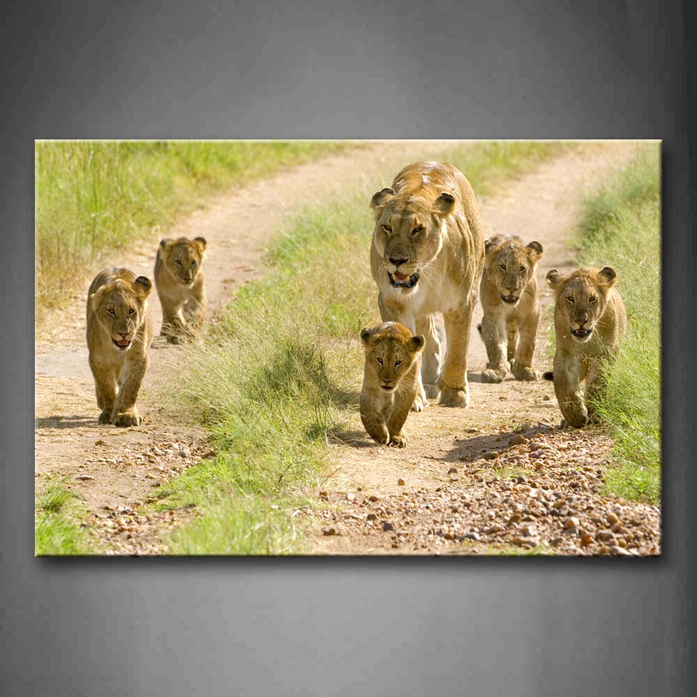 Mother Lion With Cubs Walk On Path Grass Wall Art Painting The Picture Print On Canvas Animal Pictures For Home Decor Decoration Gift 