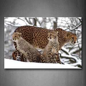 Mother Cheetah With Cubs On Snowfield Tree Wall Art Painting Pictures Print On Canvas Animal The Picture For Home Modern Decoration 