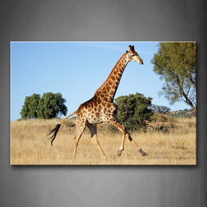 Giraffe Run On Dry Grass Trees Wall Art Painting The Picture Print On Canvas Animal Pictures For Home Decor Decoration Gift 