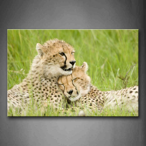 Two Cheetah Lie Closely In Grass Wall Art Painting Pictures Print On Canvas Animal The Picture For Home Modern Decoration 