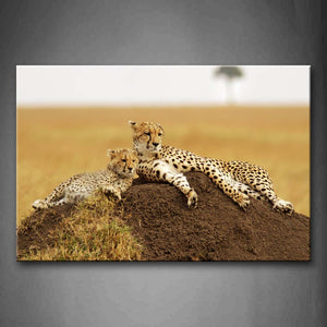 Mother Cheetah And Cub Lie On Mound Dry Grass Wall Art Painting The Picture Print On Canvas Animal Pictures For Home Decor Decoration Gift 